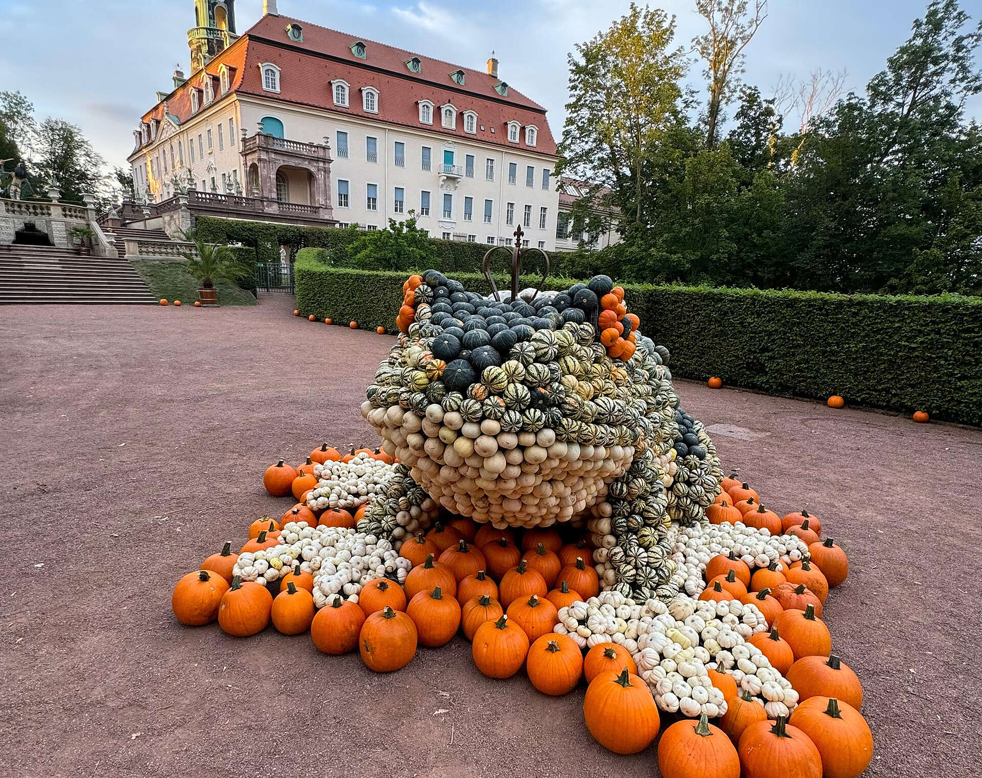 Froschkönig aus Kürbissen