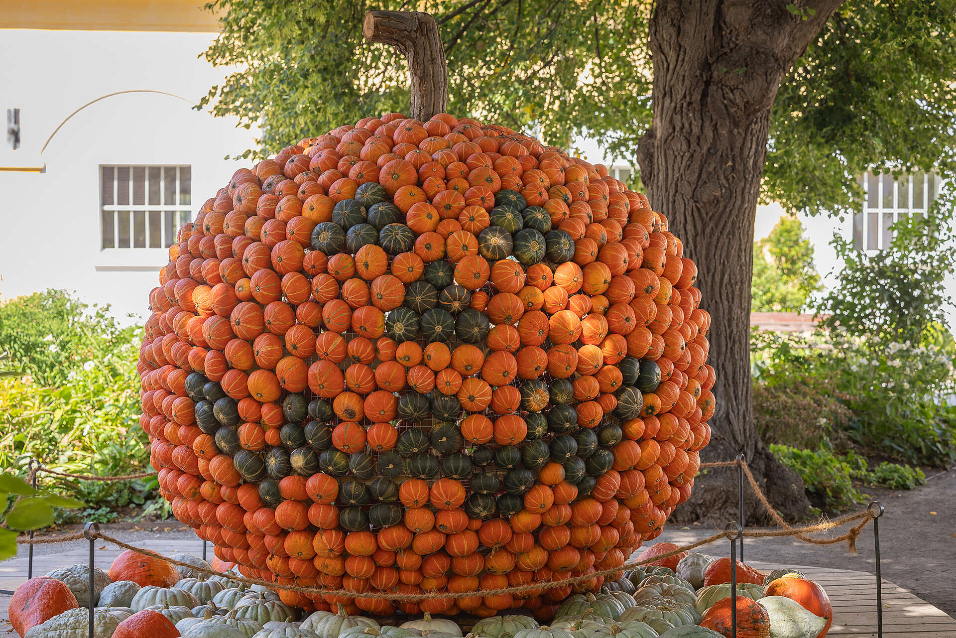 Riesiger Halloween Kürbis auf vielen kleinen Kürbissen